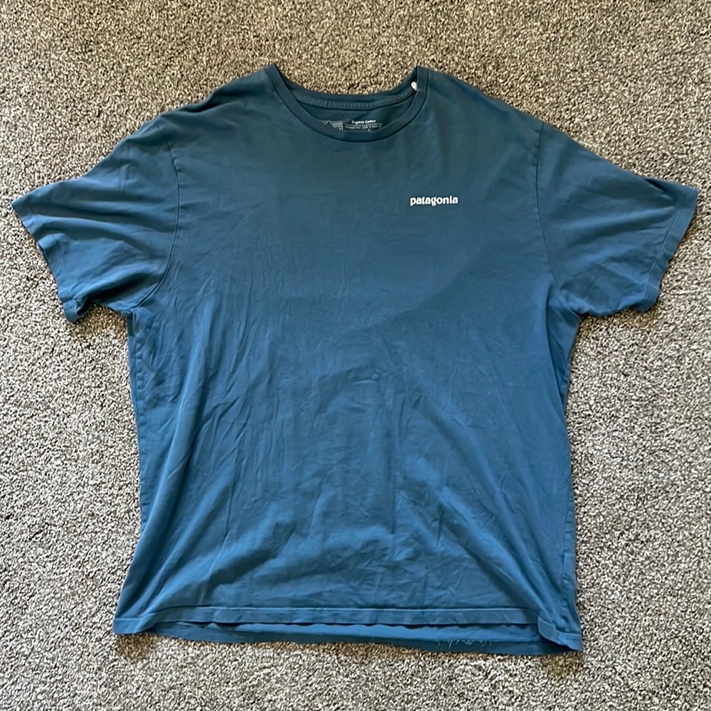 Patagonia Tee